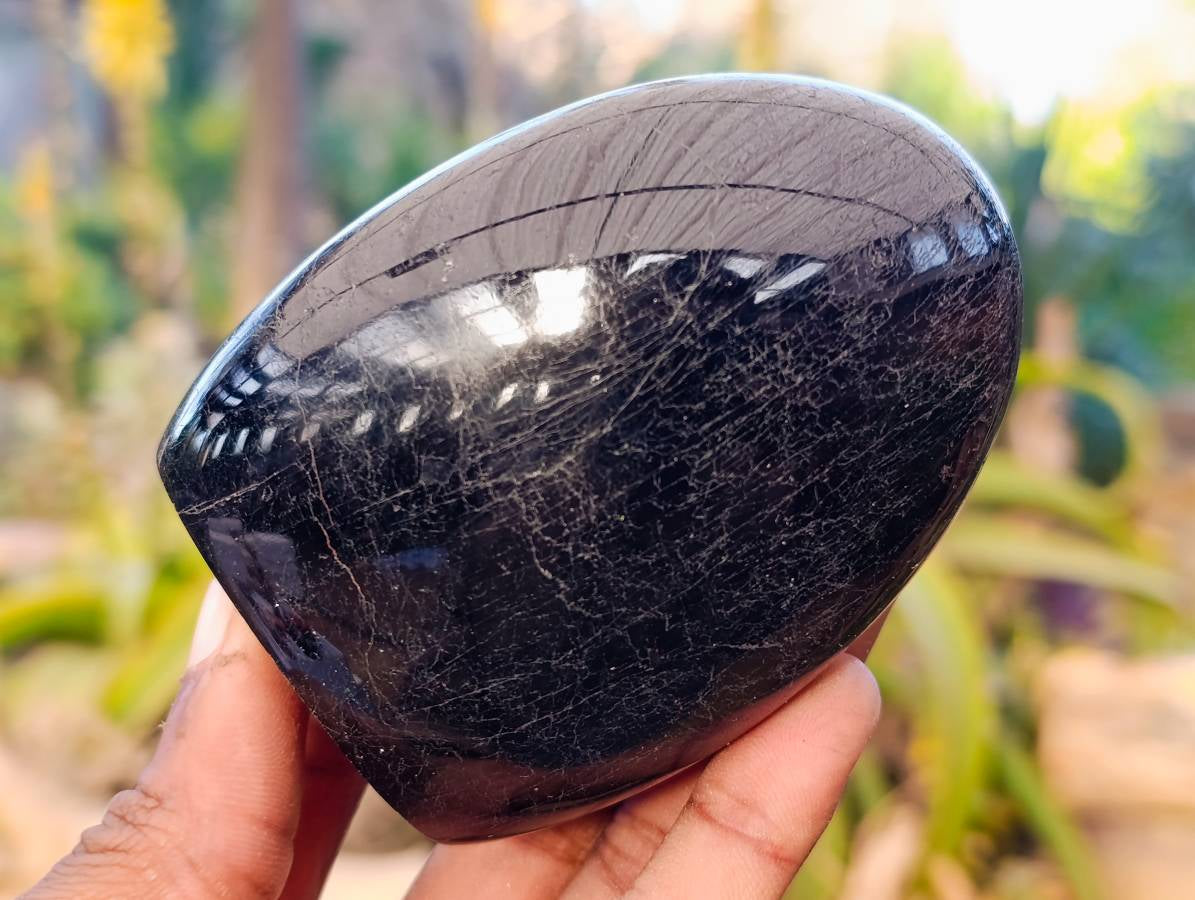 Polished Black Tourmaline Standing Free Form x 4 From Madagascar - Toprock Gemstones and Minerals 