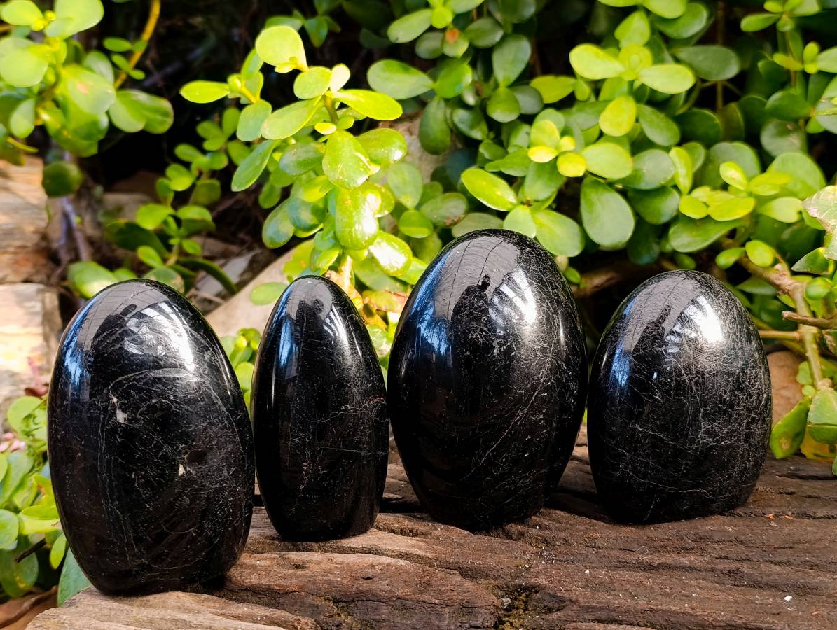 Polished Black Tourmaline Standing Free Form x 4 From Madagascar - Toprock Gemstones and Minerals 