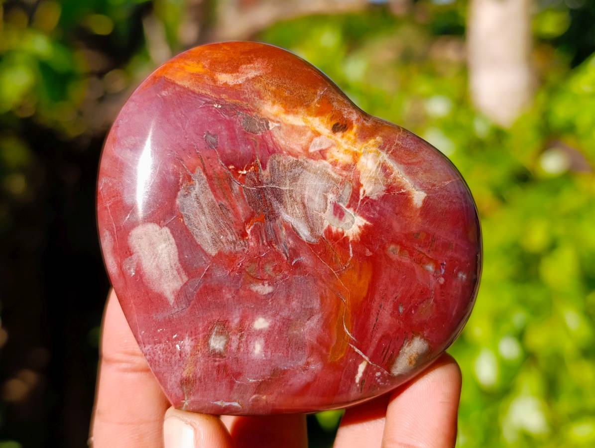 Polished Red Podocarpus Petrified Wood Hearts x 3 From Mahajanga, Madagascar - Toprock Gemstones and Minerals 