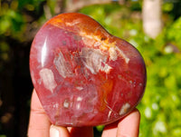 Polished Red Podocarpus Petrified Wood Hearts x 3 From Mahajanga, Madagascar - Toprock Gemstones and Minerals 