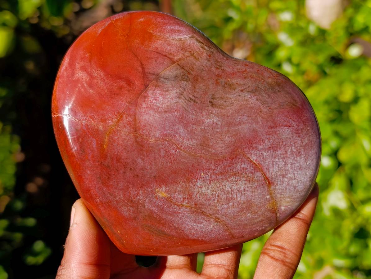 Polished Red Podocarpus Petrified Wood Hearts x 3 From Mahajanga, Madagascar - Toprock Gemstones and Minerals 