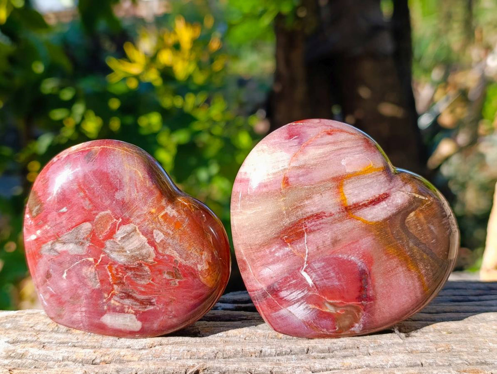Polished Red Podocarpus Petrified Wood Hearts x 3 From Mahajanga, Madagascar - Toprock Gemstones and Minerals 
