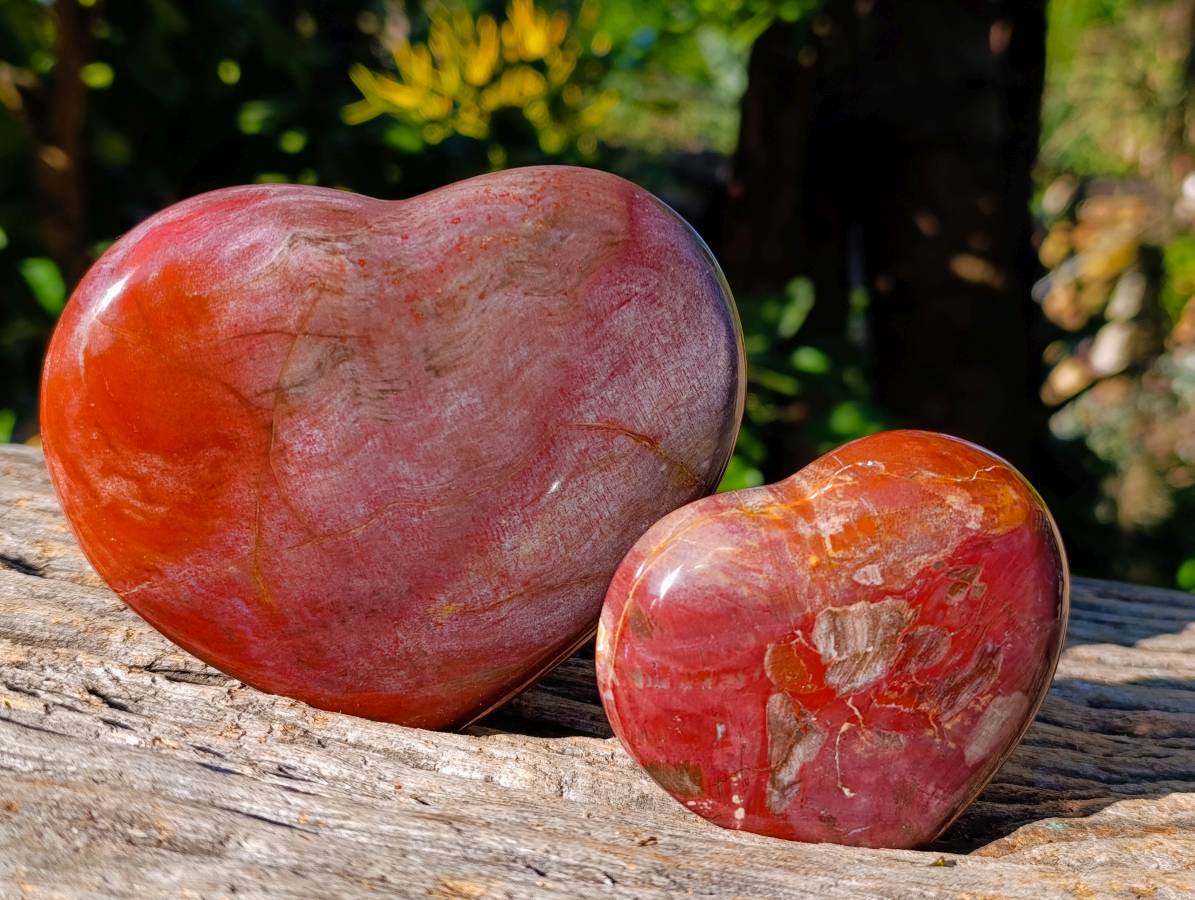 Polished Red Podocarpus Petrified Wood Hearts x 3 From Mahajanga, Madagascar - Toprock Gemstones and Minerals 