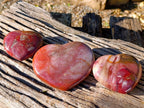 Polished Red Podocarpus Petrified Wood Hearts x 3 From Mahajanga, Madagascar - Toprock Gemstones and Minerals 