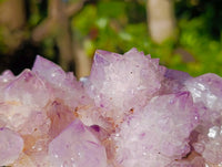 Natural Amethyst Spirit Quartz Clusters x 2 From Boekenhouthoek, South Africa - Toprock Gemstones and Minerals 