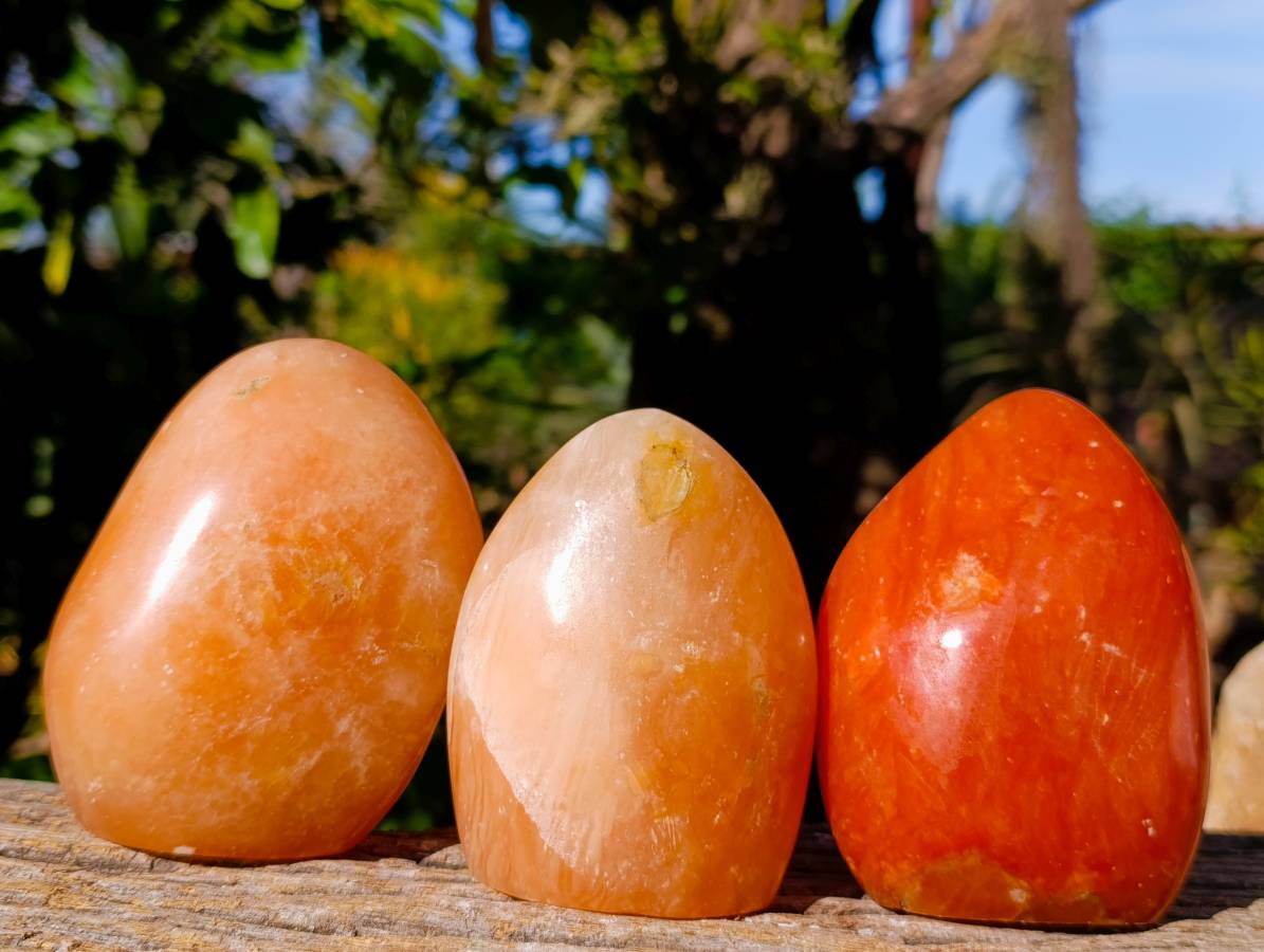 Polished Orange Twist Calcite Standing Free Forms x 3 From Maevantanana, Madagascar - Toprock Gemstones and Minerals 