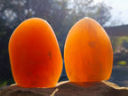 Polished Orange Twist Calcite Standing Free Forms x 3 From Maevantanana, Madagascar - Toprock Gemstones and Minerals 