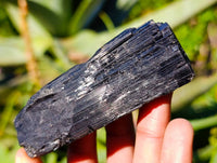 Natural Schorl Black Tourmaline Specimens x 12 From Erongo, Namibia - Toprock Gemstones and Minerals 