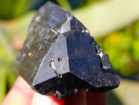 Natural Schorl Black Tourmaline Specimens x 12 From Erongo, Namibia - Toprock Gemstones and Minerals 