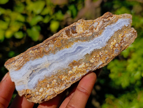Polished On One Side 'Crazy Lace' Blue Lace Agate x 6 From Namibia - Toprock Gemstones and Minerals 