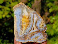 Polished On One Side 'Crazy Lace' Blue Lace Agate x 6 From Namibia - Toprock Gemstones and Minerals 