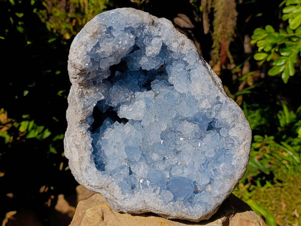 Natural Blue Celestite Geode Specimen x 1 From Sakoany, Madagascar - Toprock Gemstones and Minerals 
