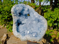 Natural Blue Celestite Geode Specimen x 1 From Sakoany, Madagascar - Toprock Gemstones and Minerals 