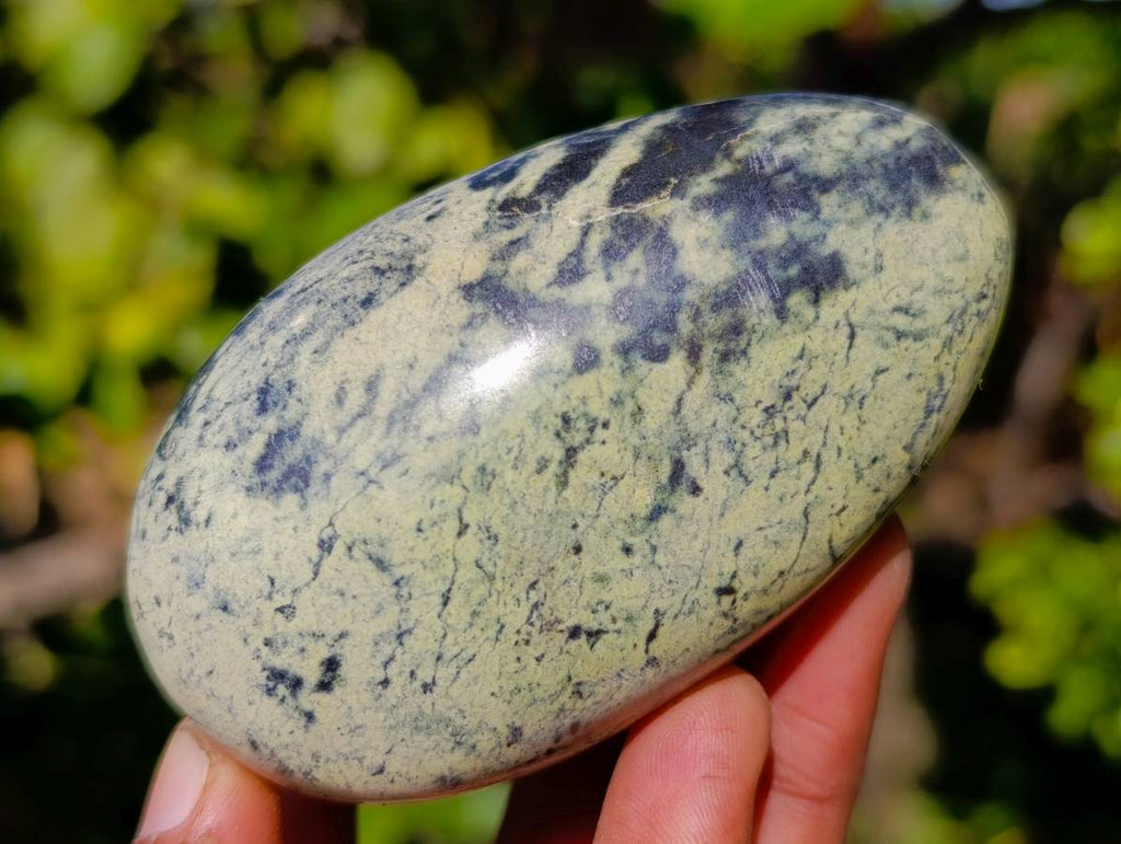 Polished Leopard Stone Standing Free Forms x 5 From Nyanga, Zimbabwe - Toprock Gemstones and Minerals 