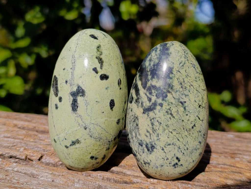 Polished Leopard Stone Standing Free Forms x 5 From Nyanga, Zimbabwe - Toprock Gemstones and Minerals 