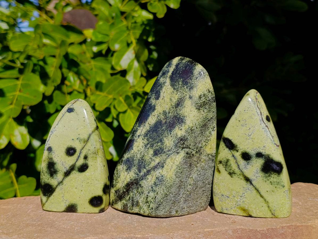 Polished Leopard Stone Standing Free Forms x 5 From Nyanga, Zimbabwe - Toprock Gemstones and Minerals 