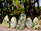 Polished Leopard Stone Standing Free Forms x 5 From Nyanga, Zimbabwe - Toprock Gemstones and Minerals 