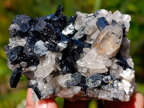 Natural Schorl Black Tourmaline Specimens x 6 From Erongo, Namibia - Toprock Gemstones and Minerals 