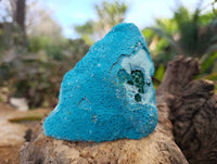 Natural Botryoidal Malacolla Specimens x 2 From Kulukuluku, Congo - Toprock Gemstones and Minerals 