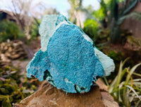 Natural Botryoidal Malacolla Specimens x 2 From Kulukuluku, Congo - Toprock Gemstones and Minerals 
