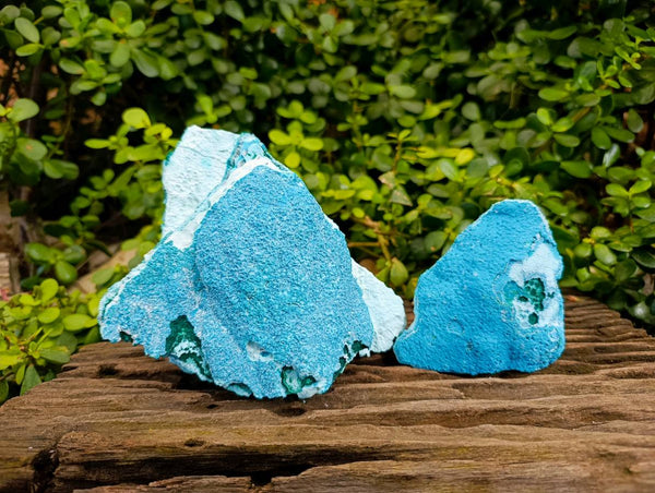 Natural Botryoidal Malacolla Specimens x 2 From Kulukuluku, Congo - Toprock Gemstones and Minerals 