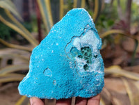 Natural Botryoidal Malacolla Specimens x 2 From Kulukuluku, Congo - Toprock Gemstones and Minerals 