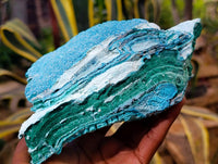 Natural Botryoidal Malacolla Specimens x 2 From Kulukuluku, Congo - Toprock Gemstones and Minerals 