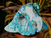 Natural Botryoidal Malacolla Specimens x 2 From Kulukuluku, Congo - Toprock Gemstones and Minerals 
