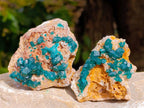 Natural Dioptase On Dolomite Specimens x 6 From Likasi, Congo - Toprock Gemstones and Minerals 