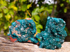 Natural Dioptase On Dolomite Specimens x 6 From Likasi, Congo - Toprock Gemstones and Minerals 