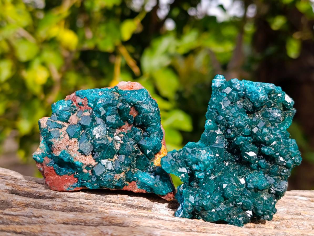 Natural Dioptase On Dolomite Specimens x 6 From Likasi, Congo - Toprock Gemstones and Minerals 