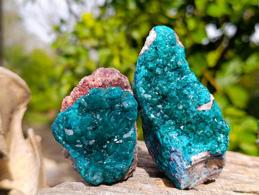 Natural Dioptase On Dolomite Specimens x 6 From Likasi, Congo - Toprock Gemstones and Minerals 