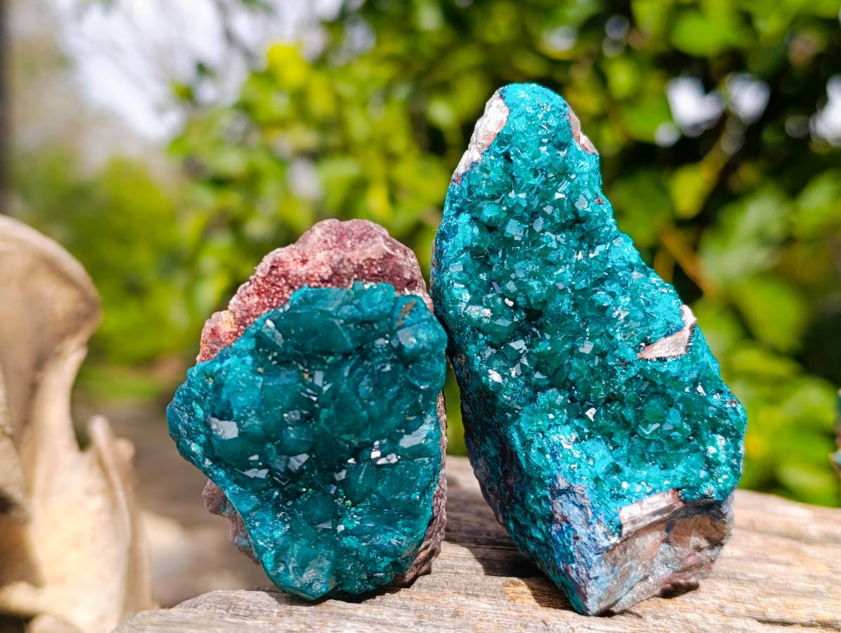 Natural Dioptase On Dolomite Specimens x 6 From Likasi, Congo - Toprock Gemstones and Minerals 