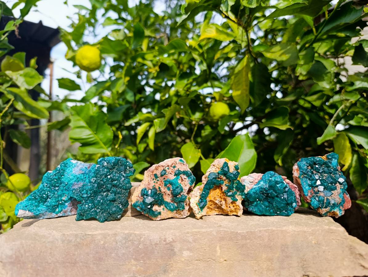 Natural Dioptase On Dolomite Specimens x 6 From Likasi, Congo - Toprock Gemstones and Minerals 