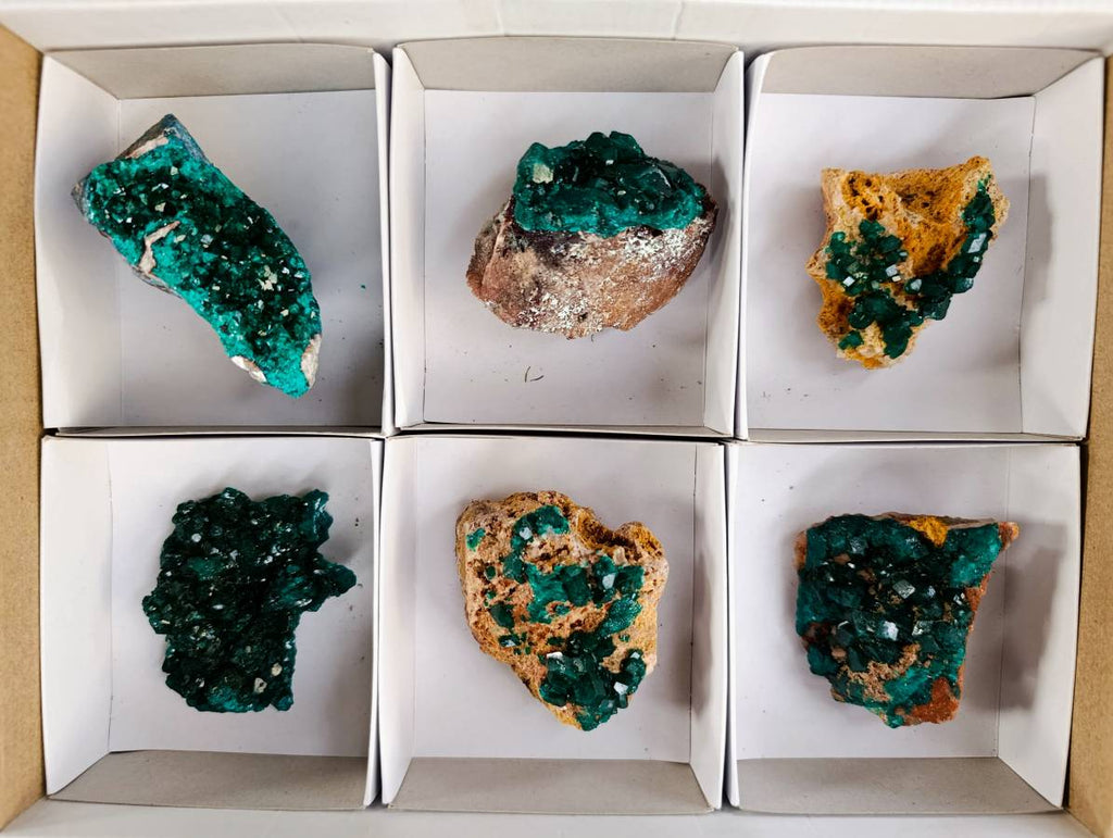 Natural Dioptase On Dolomite Specimens x 6 From Likasi, Congo - Toprock Gemstones and Minerals 