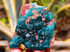 Natural Dioptase On Dolomite Specimens x 6 From Likasi, Congo - Toprock Gemstones and Minerals 