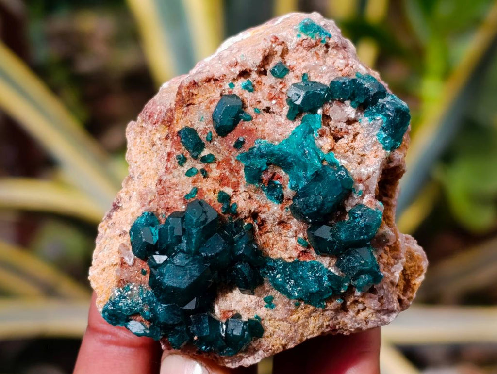 Natural Dioptase On Dolomite Specimens x 6 From Likasi, Congo - Toprock Gemstones and Minerals 