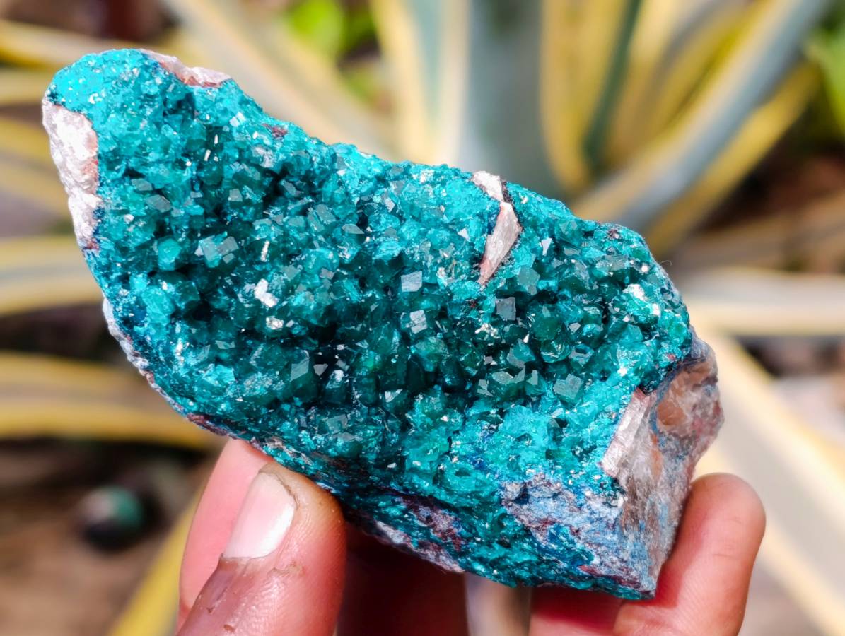 Natural Dioptase On Dolomite Specimens x 6 From Likasi, Congo - Toprock Gemstones and Minerals 