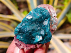 Natural Dioptase On Dolomite Specimens x 6 From Likasi, Congo - Toprock Gemstones and Minerals 
