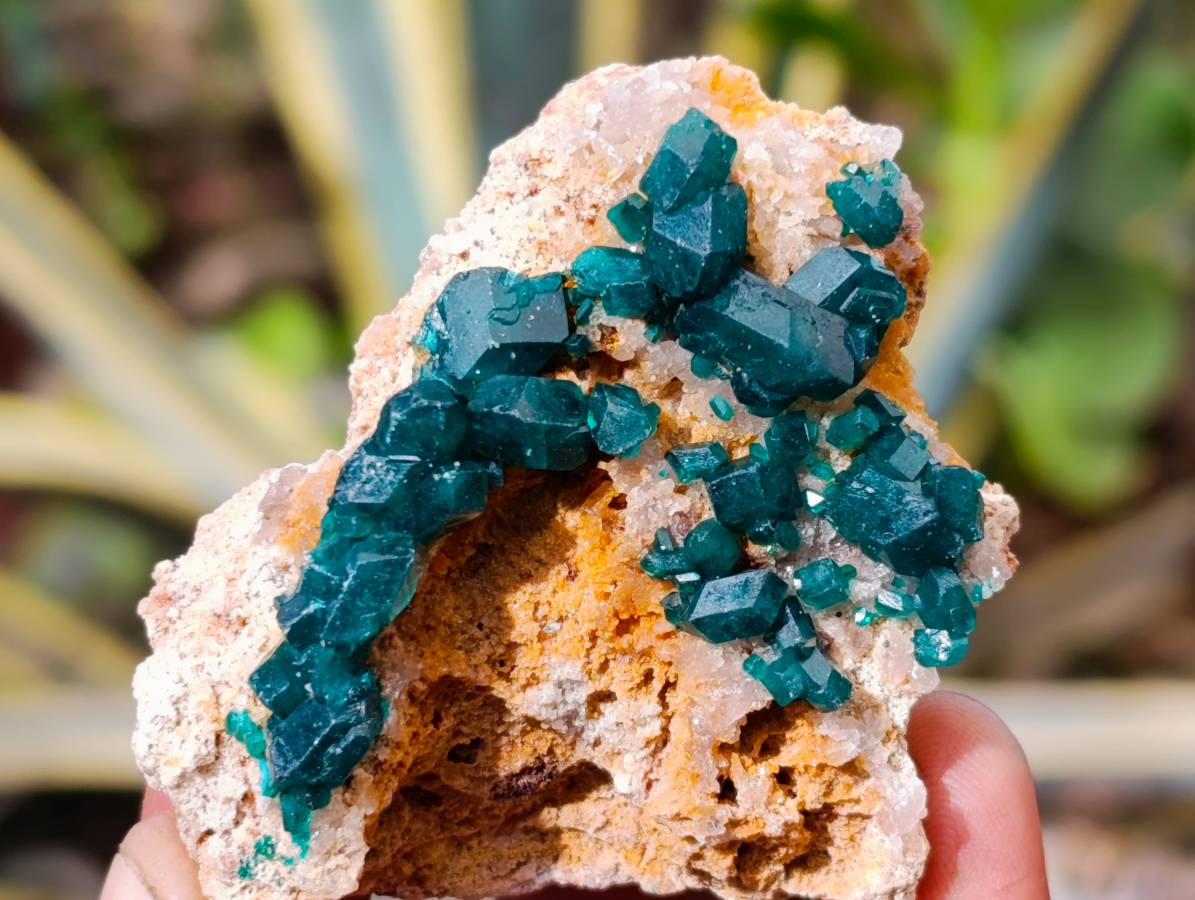 Natural Dioptase On Dolomite Specimens x 6 From Likasi, Congo - Toprock Gemstones and Minerals 