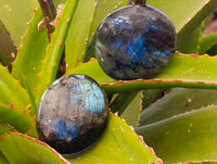Polished Labradorite Palm Stones x 12 From Tulear, Madagascar - Toprock Gemstones and Minerals 