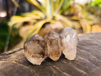 Natural Quartz Crystals x 36 From Brandberg, Namibia - Toprock Gemstones and Minerals 