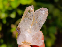 Natural Quartz Crystals x 36 From Brandberg, Namibia - Toprock Gemstones and Minerals 