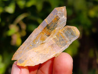 Natural Quartz Crystals x 36 From Brandberg, Namibia - Toprock Gemstones and Minerals 