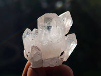 Natural Quartz Crystals x 36 From Brandberg, Namibia - Toprock Gemstones and Minerals 