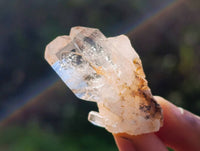Natural Quartz Crystals x 36 From Brandberg, Namibia - Toprock Gemstones and Minerals 