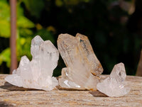 Natural Quartz Crystals x 36 From Brandberg, Namibia - Toprock Gemstones and Minerals 