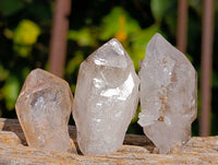 Natural Quartz Crystals x 36 From Brandberg, Namibia - Toprock Gemstones and Minerals 