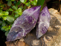 Polished Chevron Amethyst 'Witches Hat'  Points x 5 From Zambia - Toprock Gemstones and Minerals 