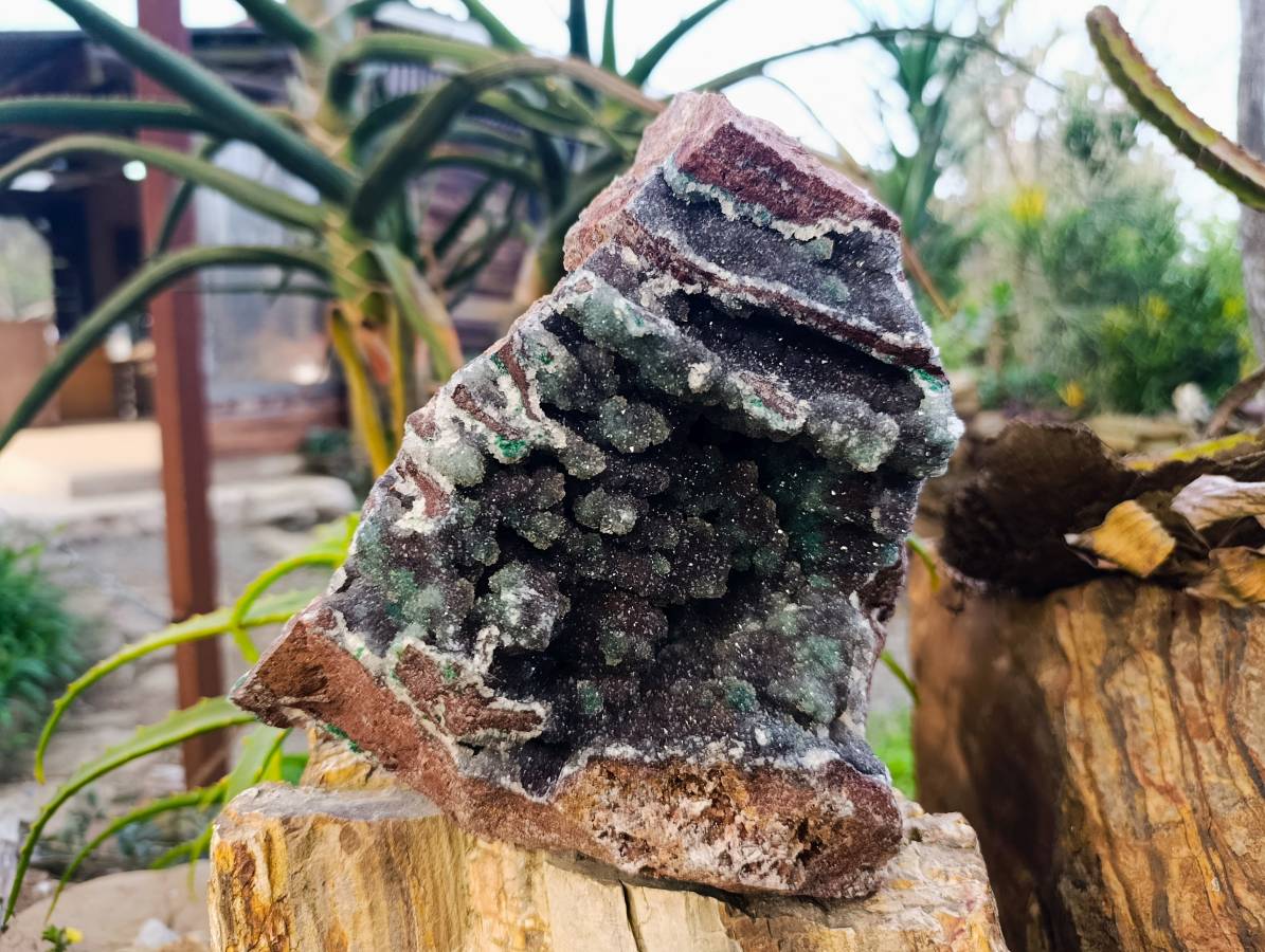 Natural Ball Malachite On Dolomite Matrix Specimen x 1 From Kambove, Congo - Toprock Gemstones and Minerals 